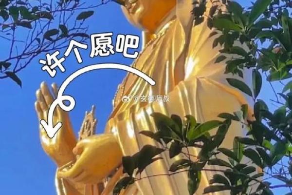 根据命理选择适合自己的行业，让职业生涯更具美好与成就！