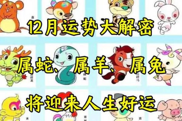 1963年出生的命理解析：属兔人的性格与运势详解