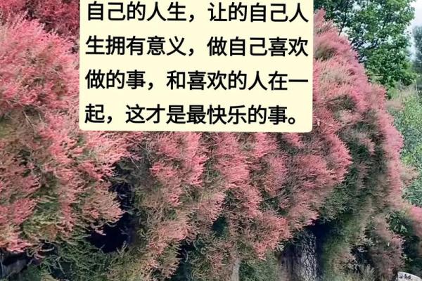 1986年属虎，五行属火的命理奥秘与人生感悟