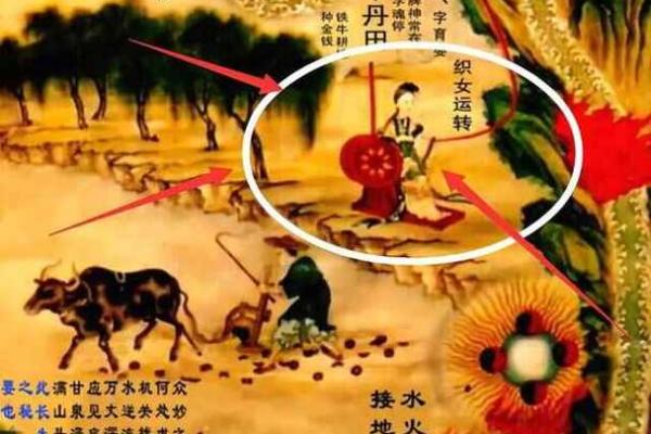 命里带天机：探寻人生奥秘与命运的力量