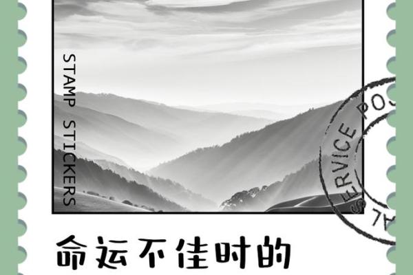 1977年出生的宝宝命运解析：不平凡的人生旅程