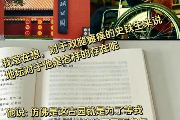 1977年出生的宝宝命运解析：不平凡的人生旅程