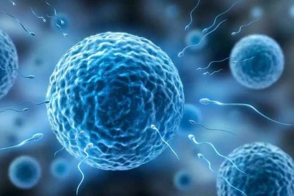 19951209出生的人:揭示命运与性格的奥秘 19951209出生的人:揭示命运与性格的奥秘