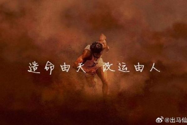 命运的游戏：信与不信之间的抉择与自由