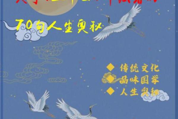 探索20030115生辰八字的命运奥秘与人生启示