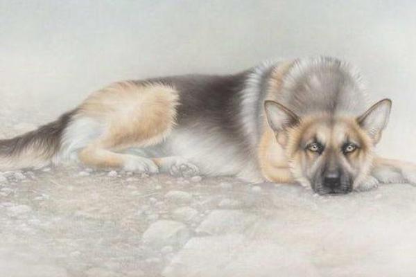 94年属狗之命：探索性格与命运的奇妙联系