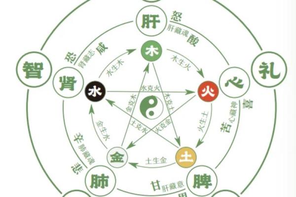 1993年属什么命？探索这一年出生者的五行与命运魅力