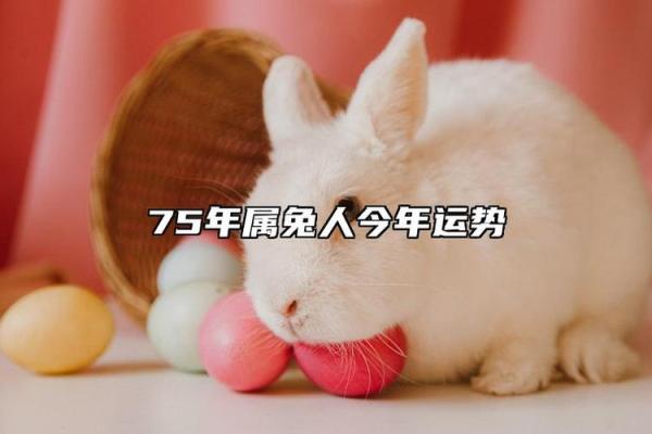 1987年属兔女性的命运分析与人生智慧