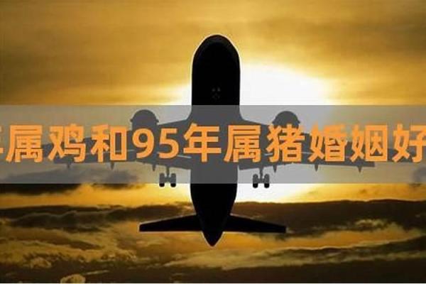 1995年出生的鸡命：性格与命运的深度解析