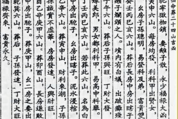 探寻“仙命亡命化命”的奥秘：命运与修行的交织之旅