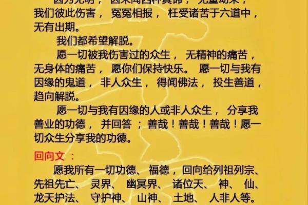 属兔得33岁命运深析，揭示人生关键转折点