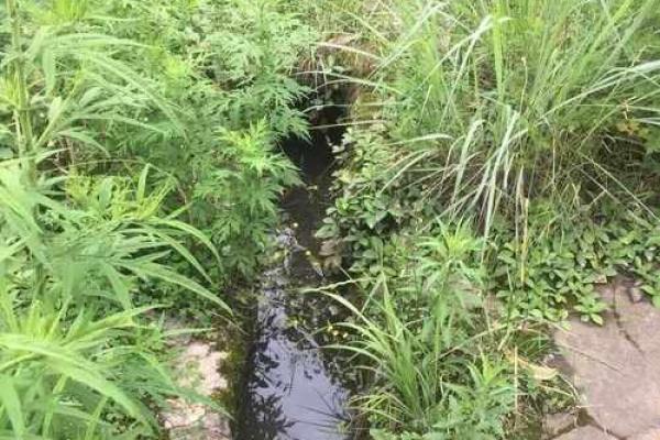 水命的真谛：癸水命背后的秘密与解析