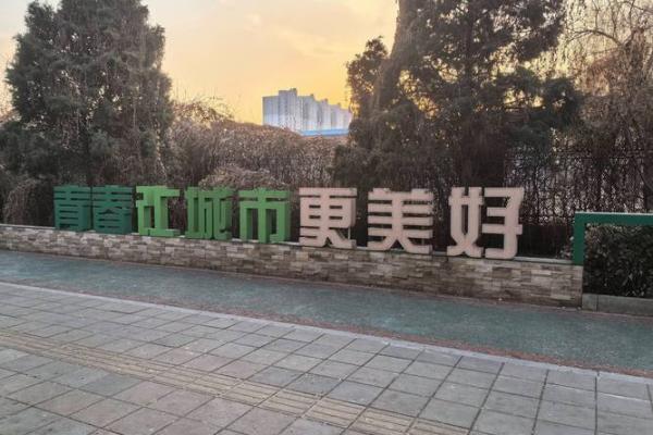 1964年出生的龙命人：命运与机遇交织的人生之旅