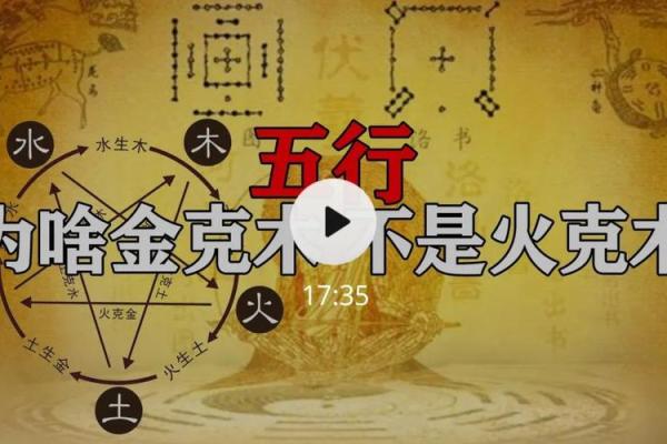 大人土命与小孩木命：命理中的和谐美学与相生之道