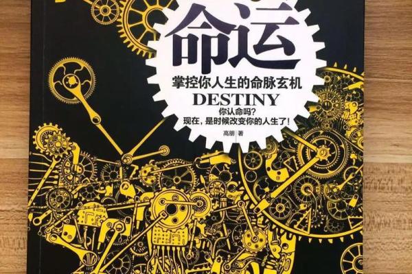 命运的棋盘：解密人生中的成语智慧