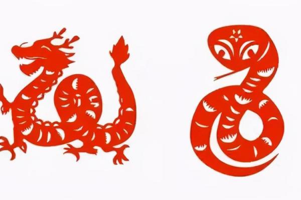 2929年：命运之年，生肖轮回中的奇妙探秘