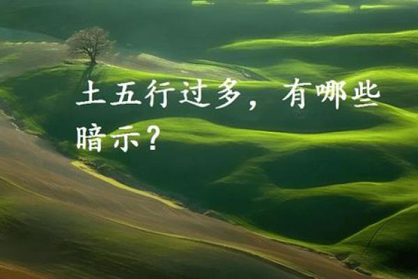 土命解析：探寻五行中土命的深层意义与人生运势