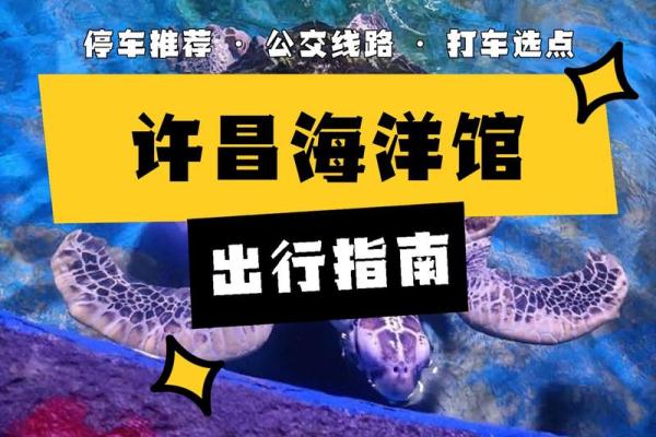 八零后金命的精彩人生:探索命运与梦想的奇妙旅程 八零后金命的精彩人生:探索命运与梦想的奇妙旅程