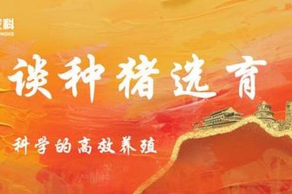 如何选择最佳方法让养猪事业务实现盈利？