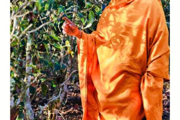 以水为命，纵横千里：生活中的智慧与哲理