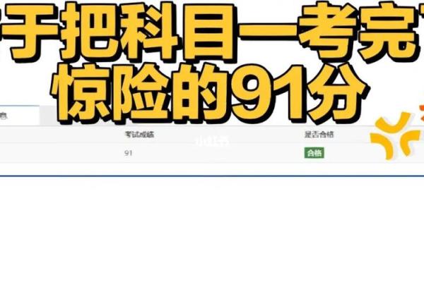 91属什么？揭秘91年出生人命中的神秘密码！