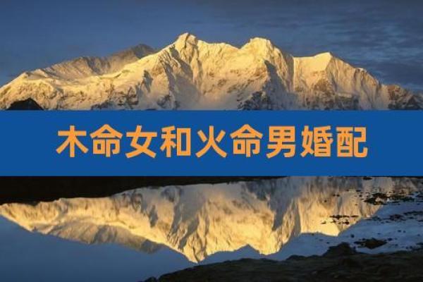 火命与木命：究竟是挑剔还是互补的关系？