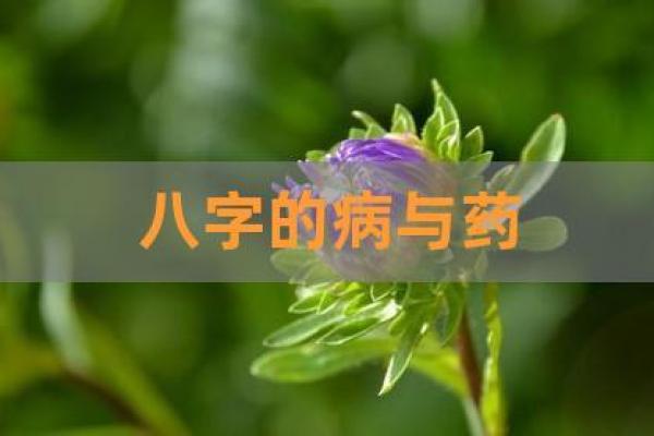 探索19991026的命运：从八字看人生轨迹与发展机会