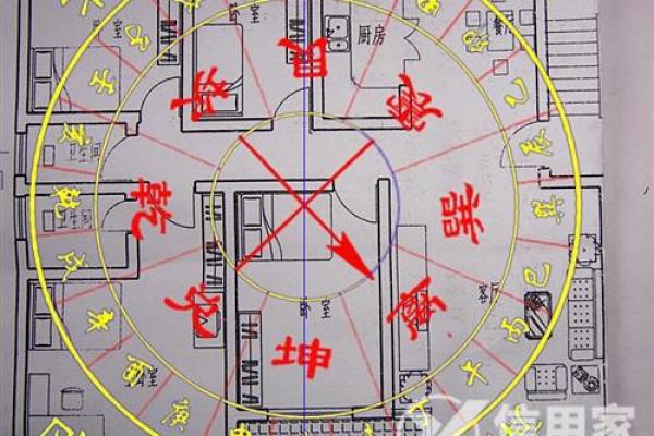 探秘命理中的东四命与西四命：你的命运由何而定？