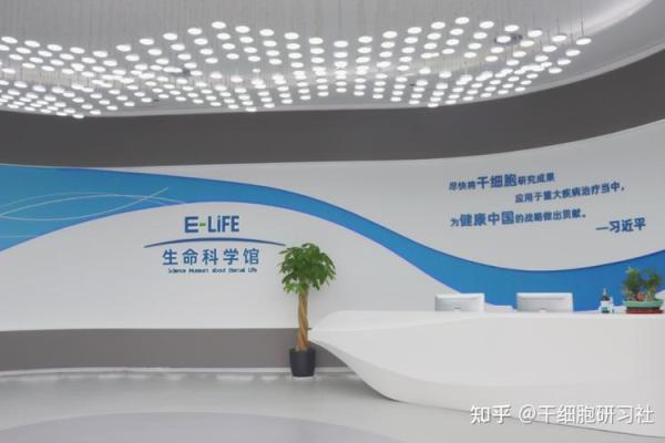 19940421命运解析：探索生命之旅的神秘与魅力