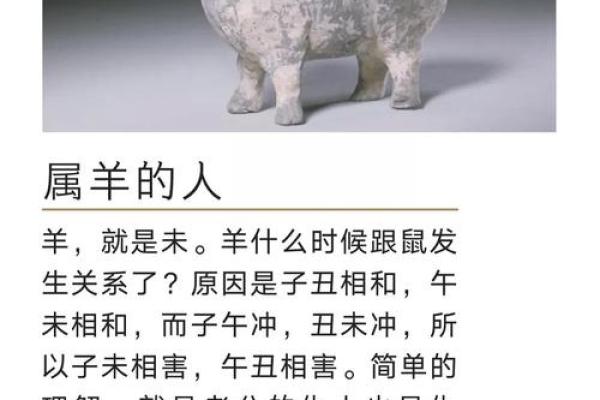 庚子年鼠宝宝的命运与性格解析：新禧之年，鼠年种子的成长之路