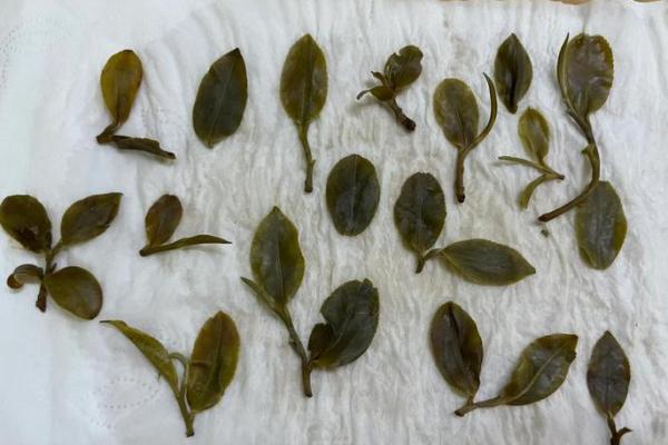 探秘山头之火：用什么养护让它永葆光彩？