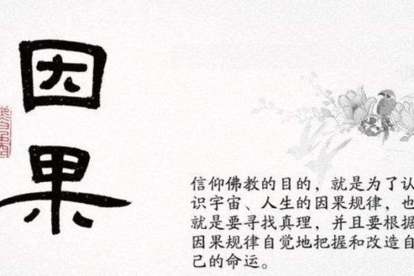 算命胸前有红点，解密你的命运与人生！