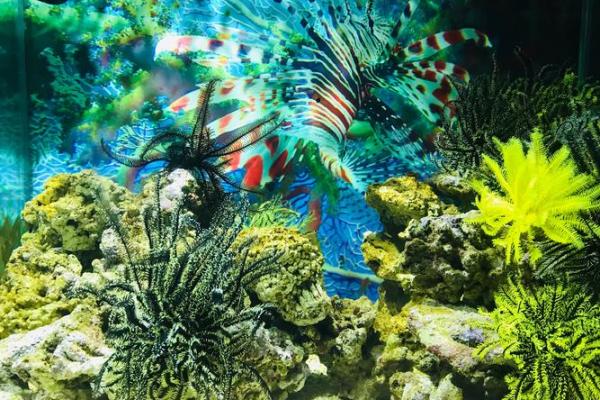 探秘开命：探寻生活中的无限可能与美好开启