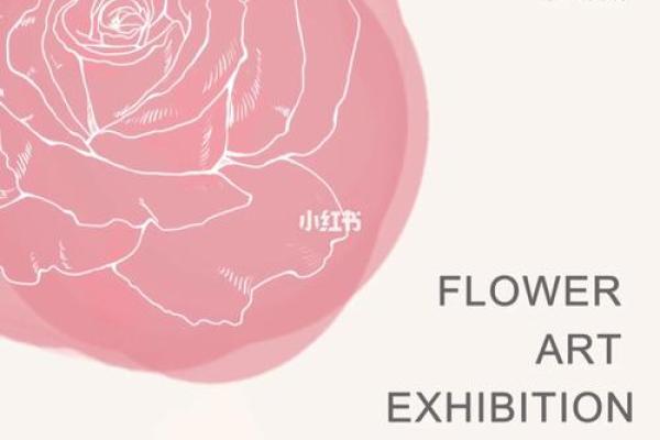 探秘开命：探寻生活中的无限可能与美好开启