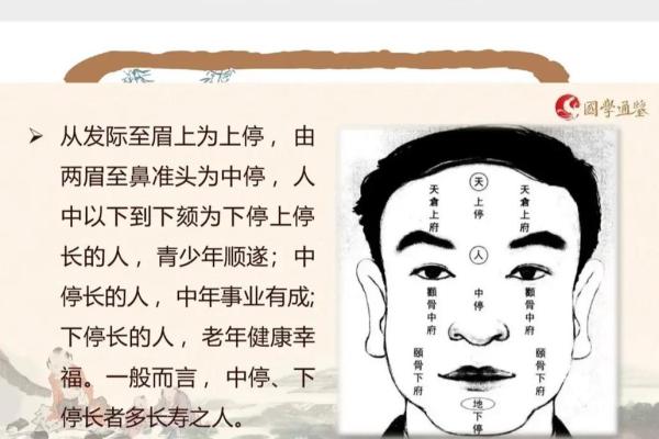 探秘童子命：揭秘童子命女人的命运与生活