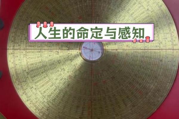 如何辨别自己是什么命理，探索命运的奥秘与智慧