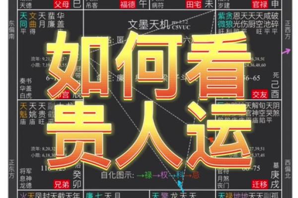 探秘命格：世界上大多数人命格背后的故事与启示