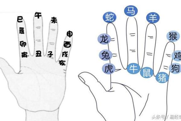 狗宝冬至出生的命运探秘：如何解读生肖与时节的奥秘