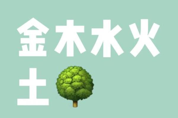 探秘壬辰时出生的命理之道,解读你的命运密码! 探秘壬辰时出生的命理之道,解读你的命运密码!