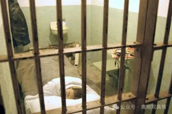 1984年出生的人：命运秘辛与生活智慧的启示