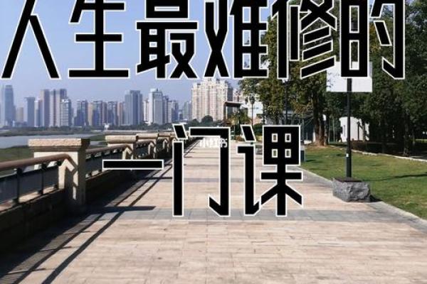 49岁属什么命格？深入解析与人生启示