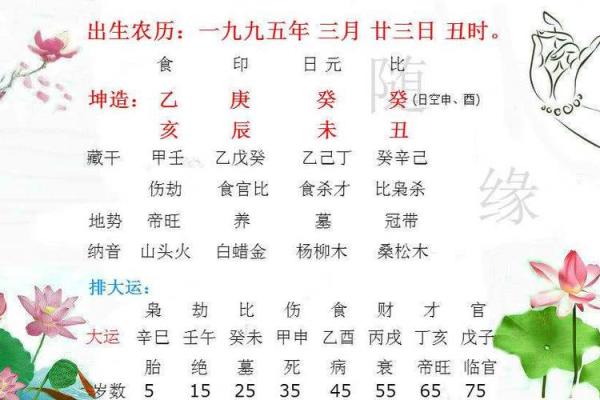 探秘命理：海中金男命运的特质与运势解析