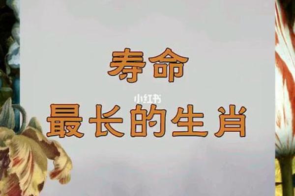 1993年正月十五:揭开命运之谜,探寻生肖与命理的深刻关联 1993年正月十五:揭开命运之谜,探寻生肖与命理的深刻关联