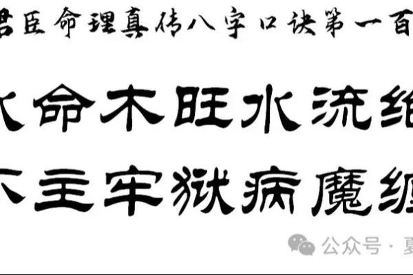 1992年出生的水命人的命运与性格解析