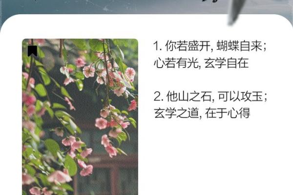 探寻命运之道：从五行八字看人生命运的秘密