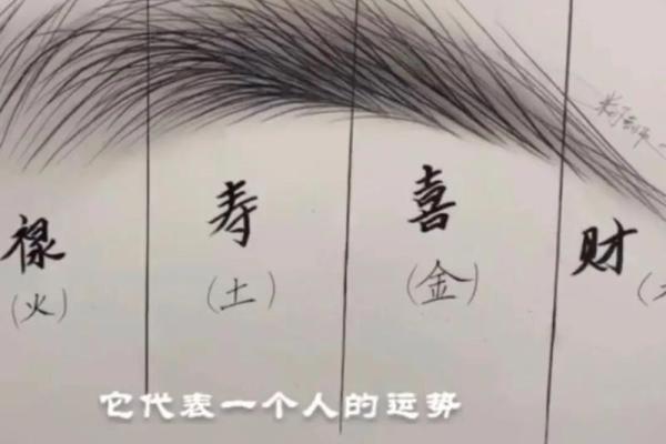 探究86虎命理:获补缺失,如何成就人生辉煌? 探究86虎命理:获补缺失,如何成就人生辉煌?