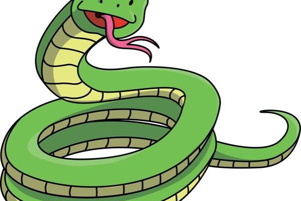 1998年出生的蛇年宝宝命运解读:神秘与智慧的结合点 1998年出生的蛇年宝宝命运解读:神秘与智慧的结合点