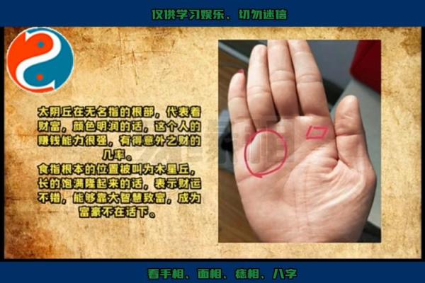 女人左手断掌的命格解析：揭示性格与命运的奥秘