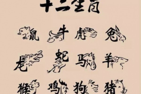 1988年11月出生的人：命运与性格的深度解析