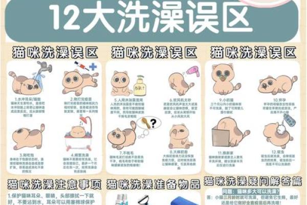 探秘猫命：你知道猫命是怎样影响猫咪幸福生活的吗？